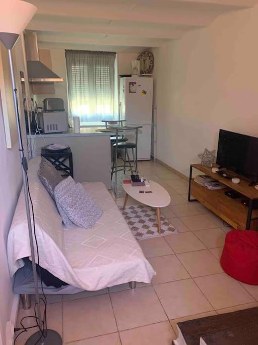 Fabienne Cote Jardins De La Fontaine Apartment Nimes Bagian luar foto